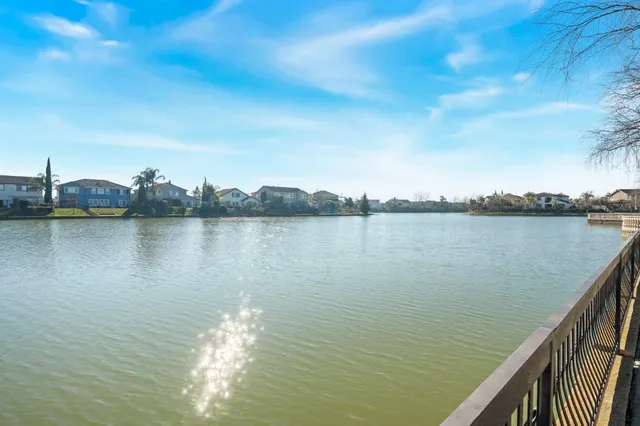a street view with large trees