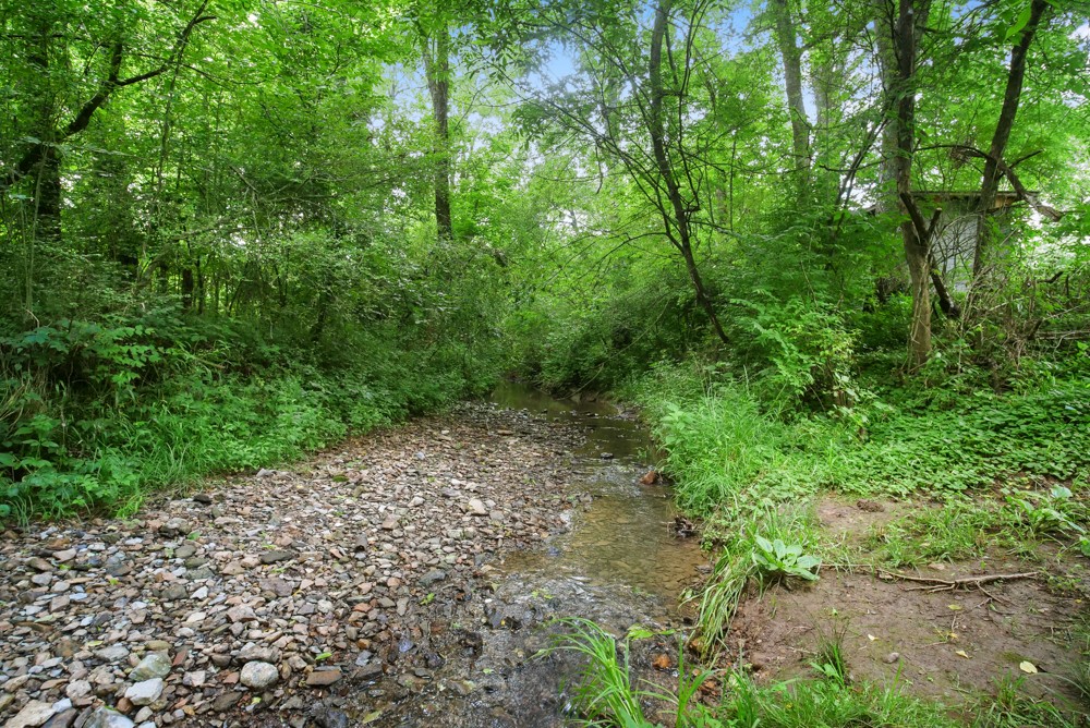 156 Vantrease Lane Gallatin, TN 37066 - Photo 35 of 37 a big yard with lots of green space and deers