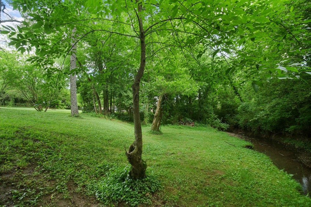 156 Vantrease Lane Gallatin, TN 37066 - Photo 37 of 37 a view of a lush green space