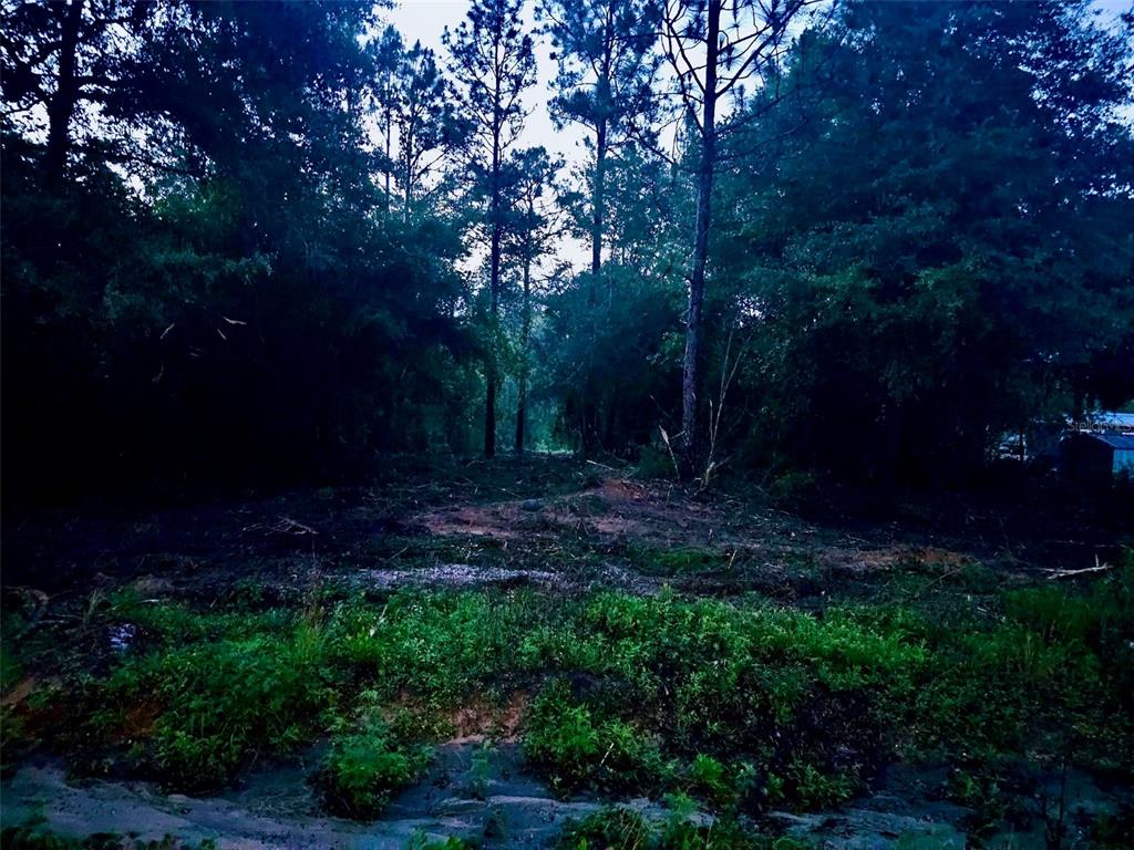 Pinetree Lane DeFuniak Springs, FL 32433 - Photo 16 of 40