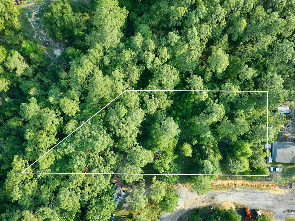 Pinetree Lane DeFuniak Springs, FL 32433 - Photo 2 of 40
