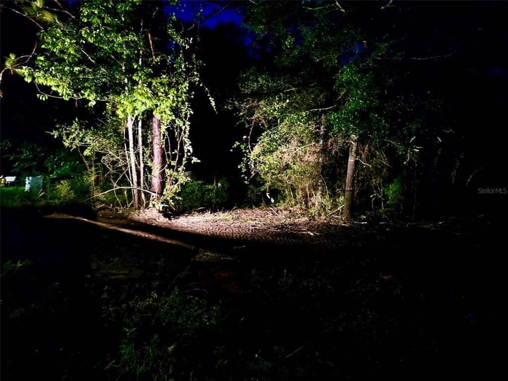 Pinetree Lane DeFuniak Springs, FL 32433 - Photo 21 of 40