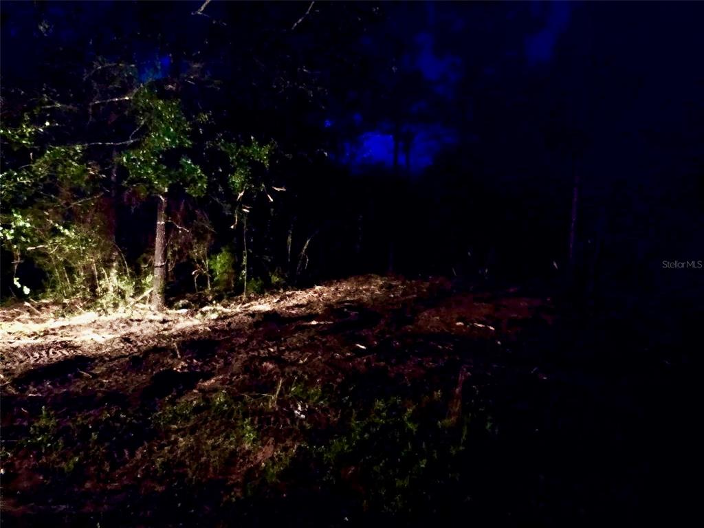 Pinetree Lane DeFuniak Springs, FL 32433 - Photo 22 of 40