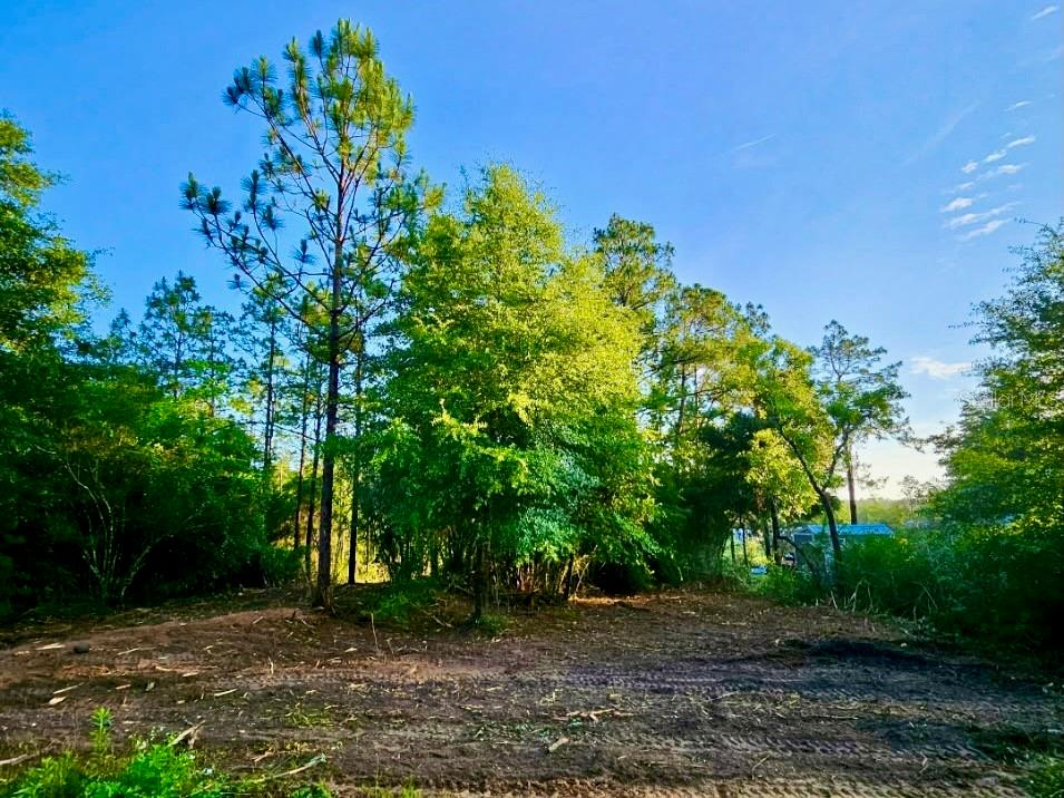 Pinetree Lane DeFuniak Springs, FL 32433 - Photo 24 of 40
