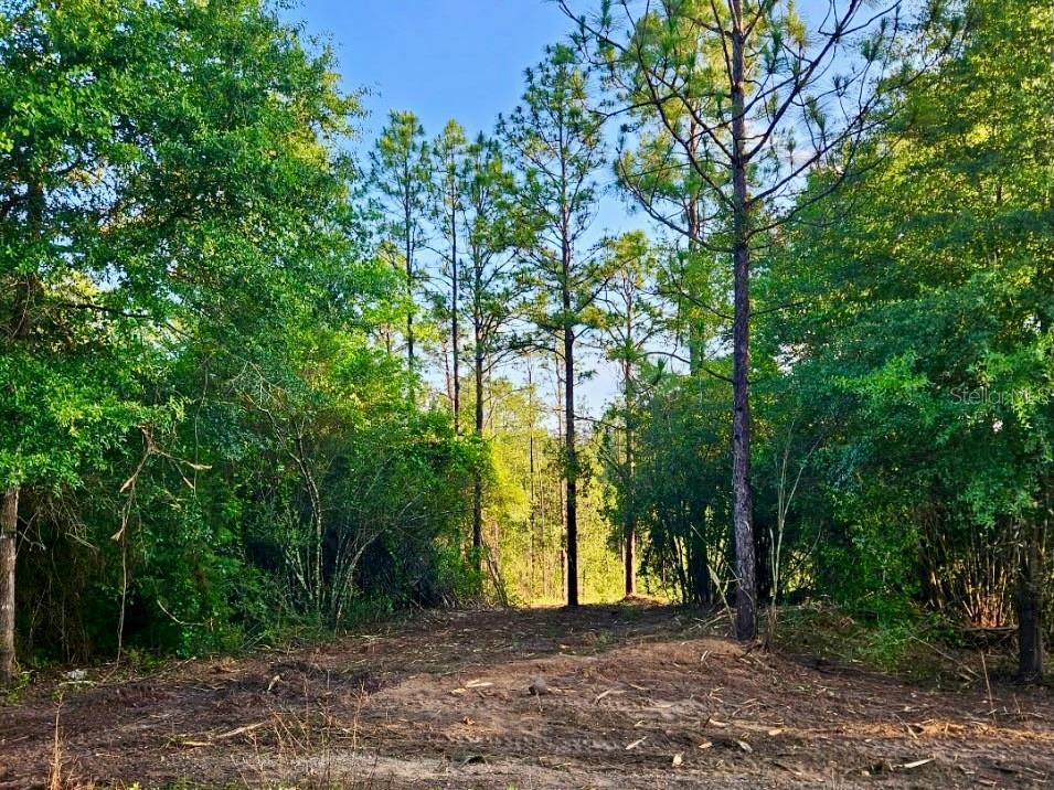 Pinetree Lane DeFuniak Springs, FL 32433 - Photo 25 of 40