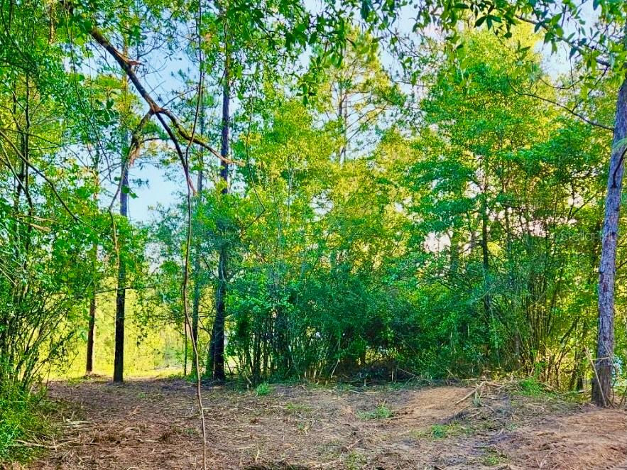 Pinetree Lane DeFuniak Springs, FL 32433 - Photo 26 of 40