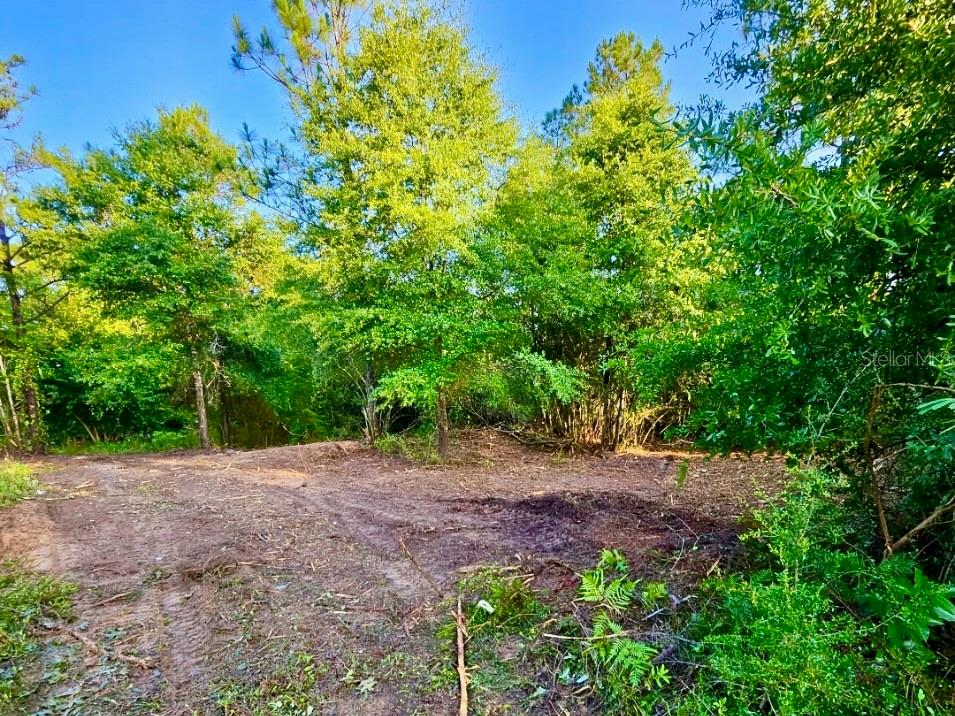 Pinetree Lane DeFuniak Springs, FL 32433 - Photo 27 of 40