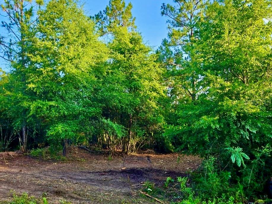 Pinetree Lane DeFuniak Springs, FL 32433 - Photo 28 of 40