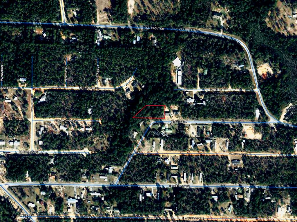 Pinetree Lane DeFuniak Springs, FL 32433 - Photo 38 of 40