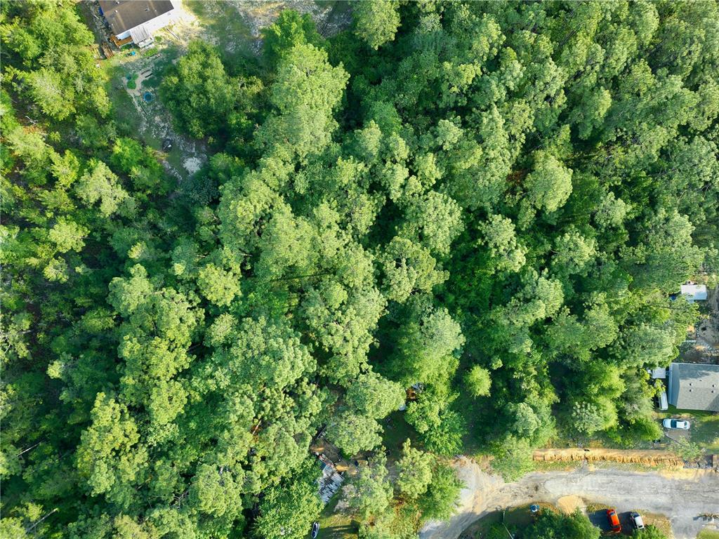 Pinetree Lane DeFuniak Springs, FL 32433 - Photo 7 of 40