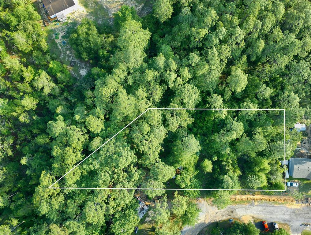 Pinetree Lane DeFuniak Springs, FL 32433 - Photo 8 of 40