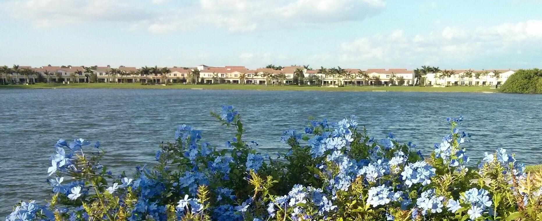 4820 Northwest 16th Terrace Boca Raton, FL 33431 - Photo 23 of 39 a view of ocean with boats and trees in all around