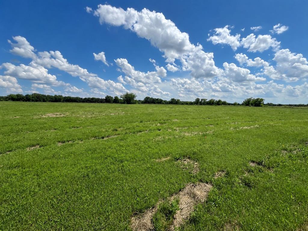 9999 Dugan Chapel Road Bells, TX 75414 - Photo 17 of 23