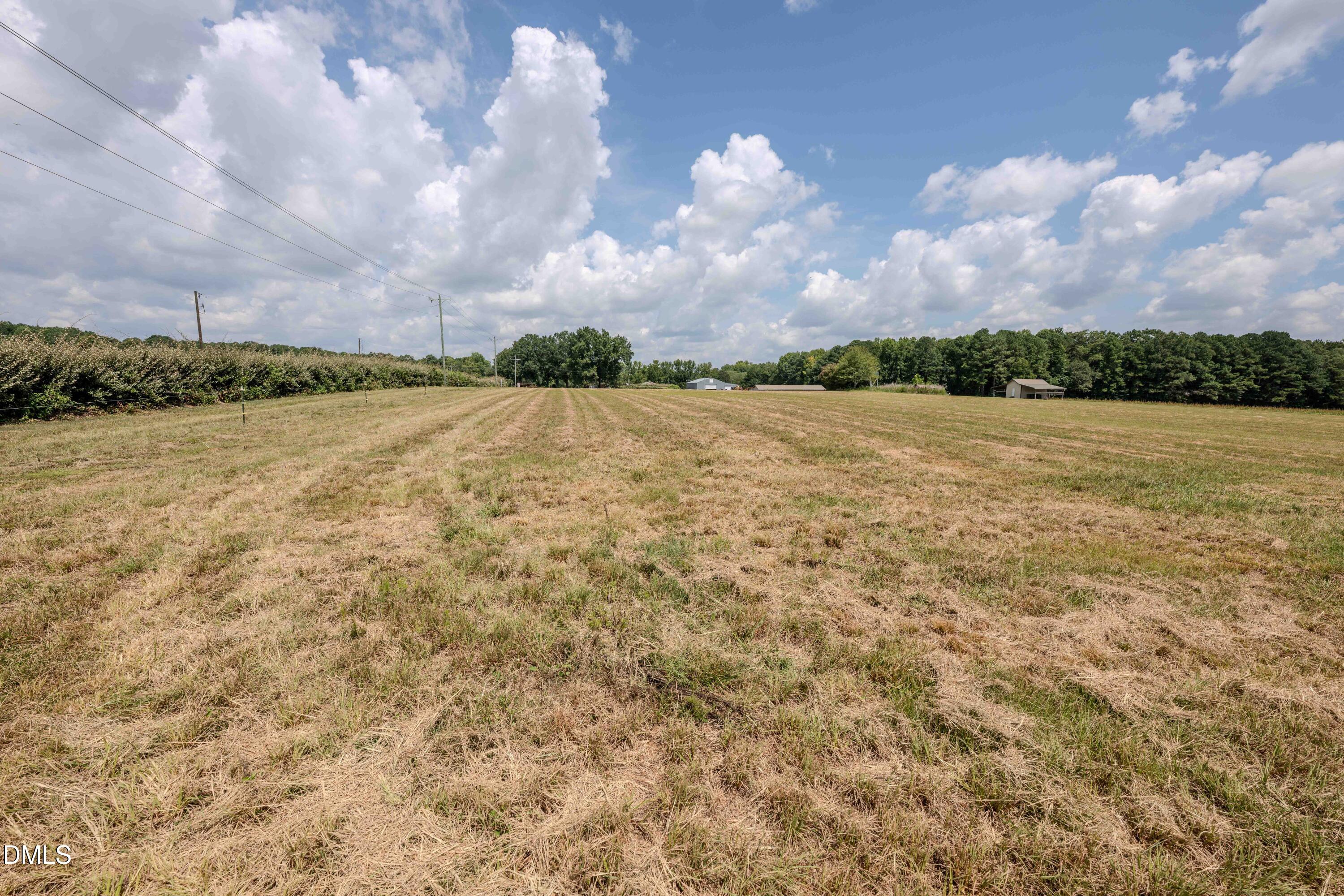 0 Old Stage Road North Willow Spring, NC 27592 - Photo 22 of 33 019