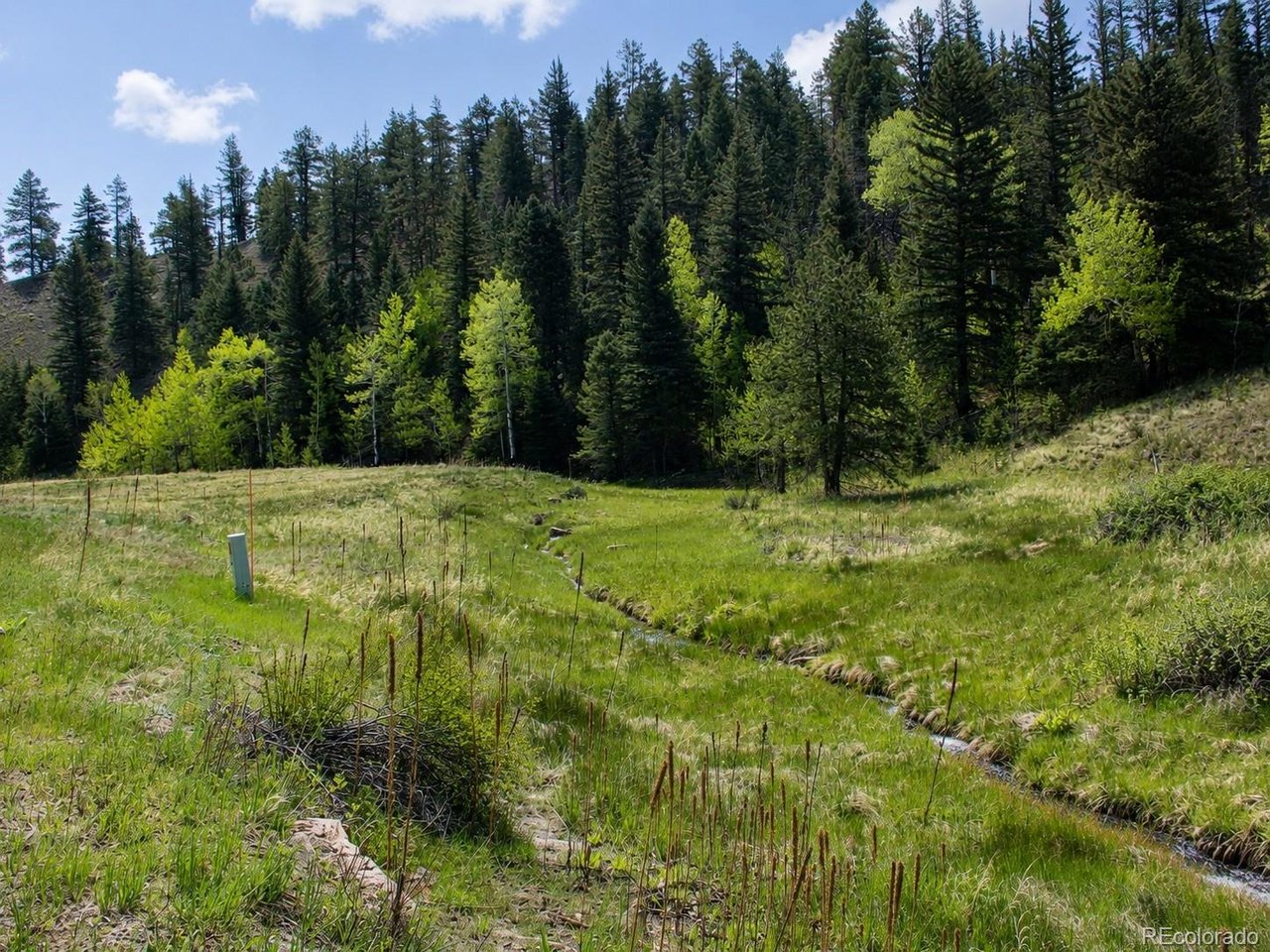 1 Co Road Westcliffe, CO 81252 - Photo 19 of 42 Flowing Hardscrabble Creek