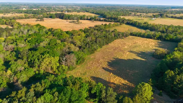 $1,350,000 | 7335 County Road 4710, Larue, TX 75770