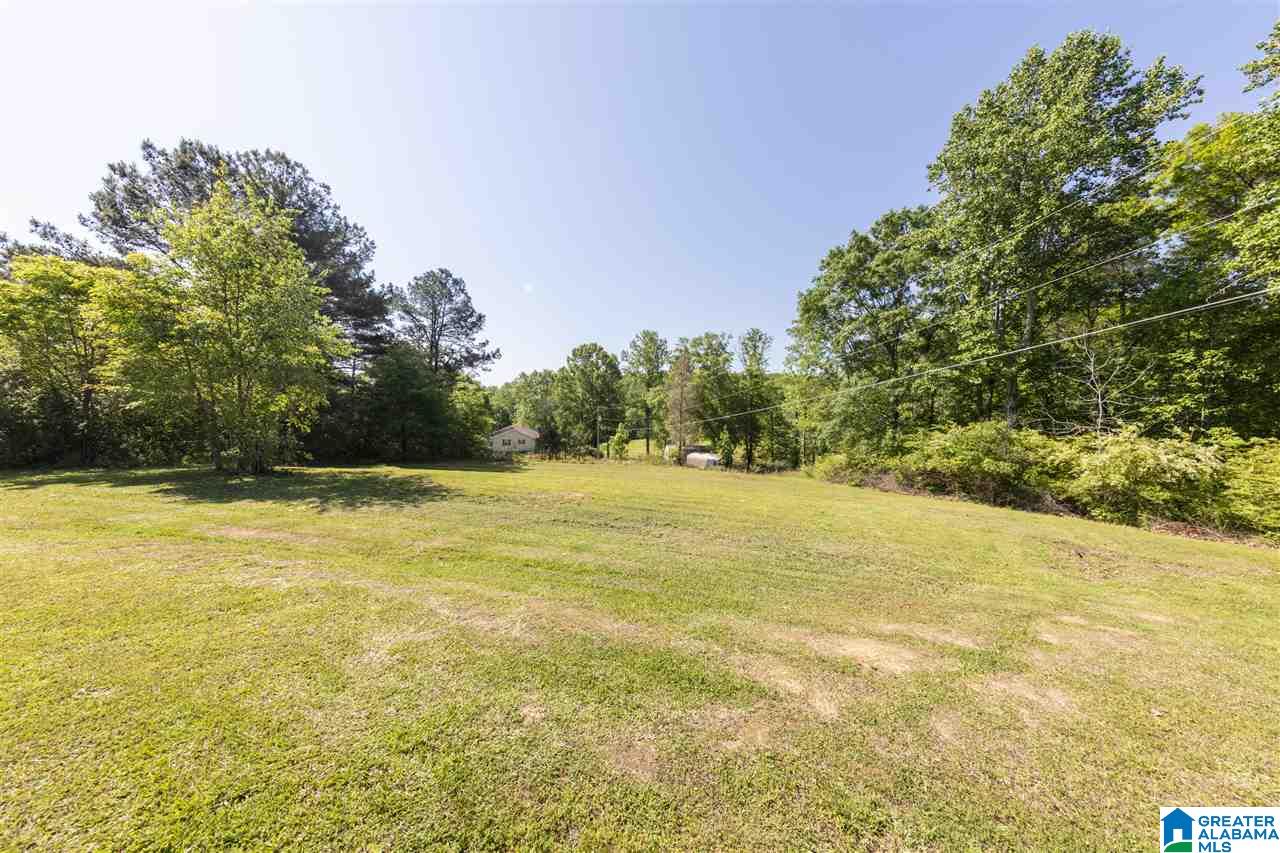 1818 Rock Springs Road Warrior, AL 35180 - Photo 6 of 28