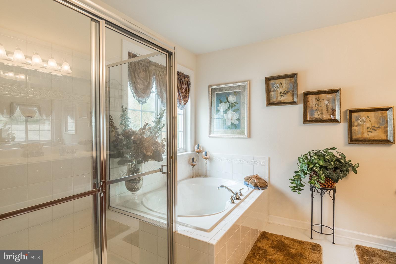 4157 Agency Loop Triangle, VA 22172 - Photo 19 of 30 a bath room with a bathtub and a shower