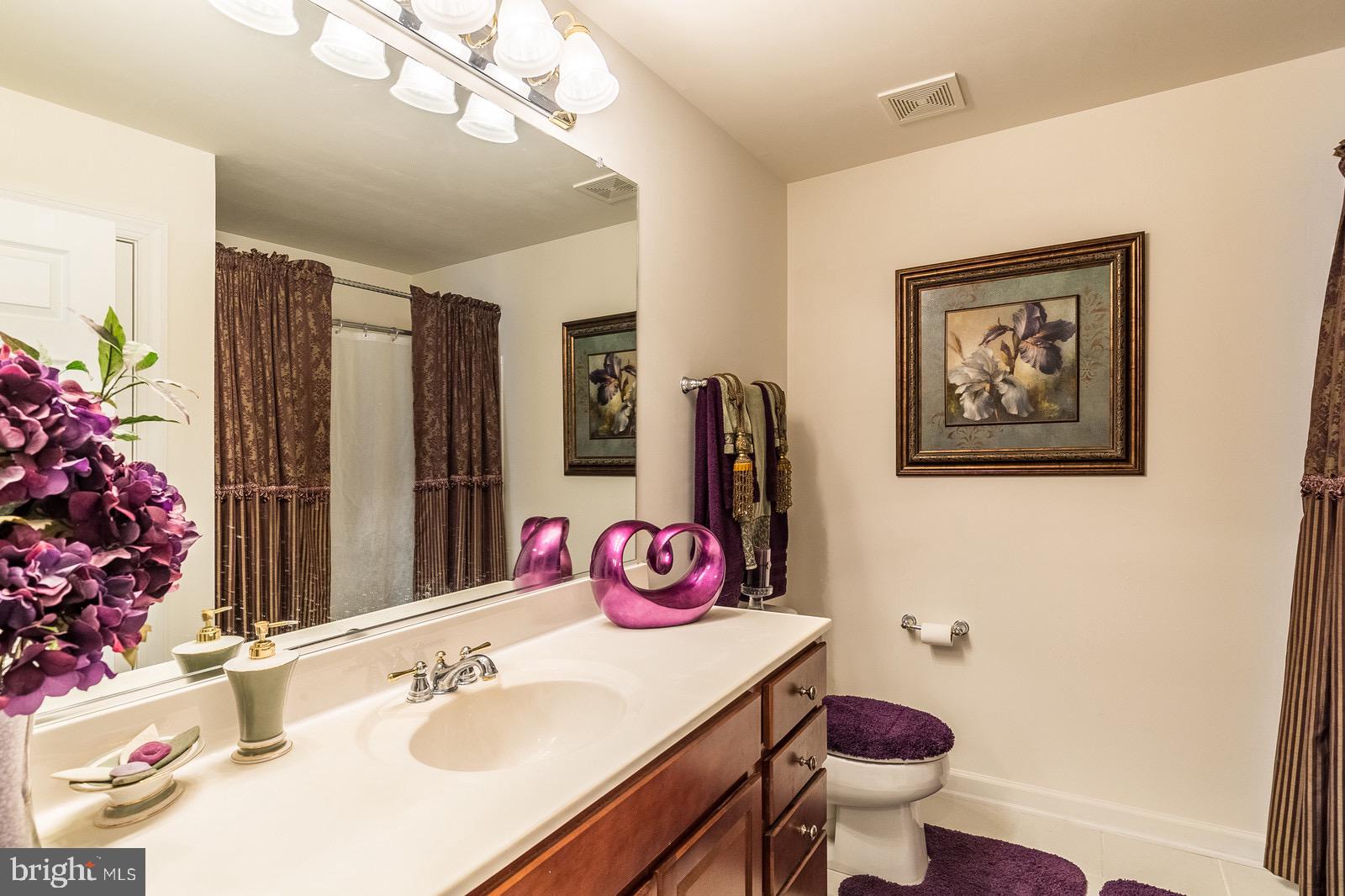 4157 Agency Loop Triangle, VA 22172 - Photo 24 of 30 a bathroom with a sink vanity mirror and toilet