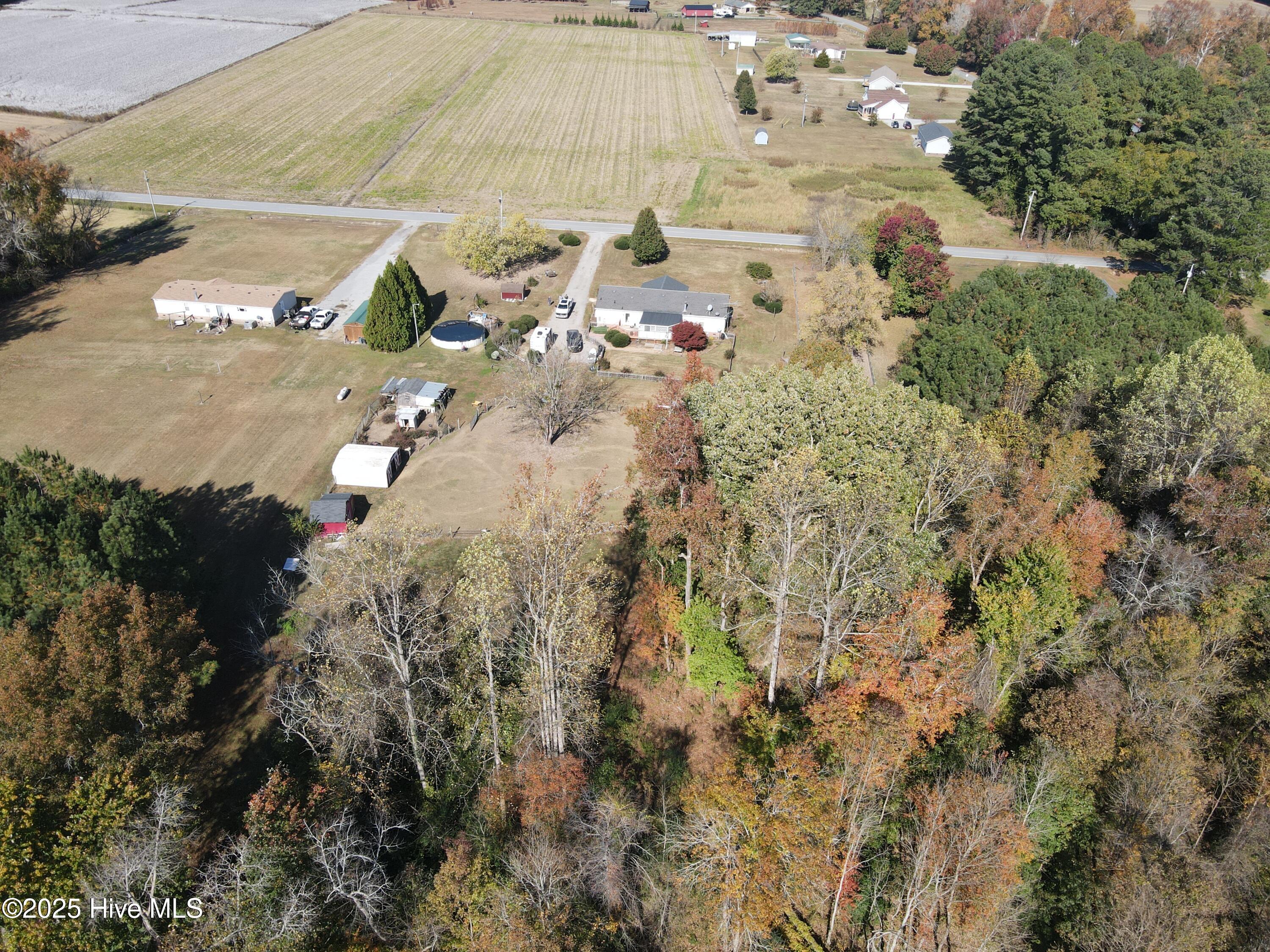 397 Spivey Road Hobbsville, NC 27946 - Photo 11 of 33 backyard
