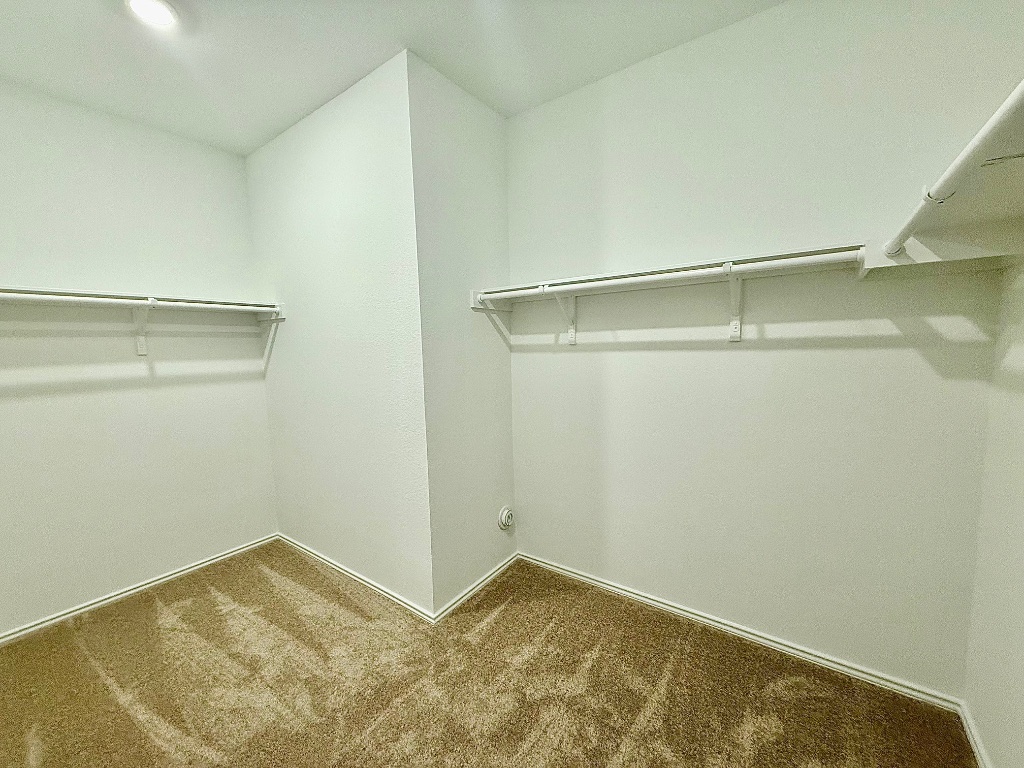1724 Four Waters Loop Georgetown, TX 78628 - Photo 13 of 38 Walk in closet with carpet floors