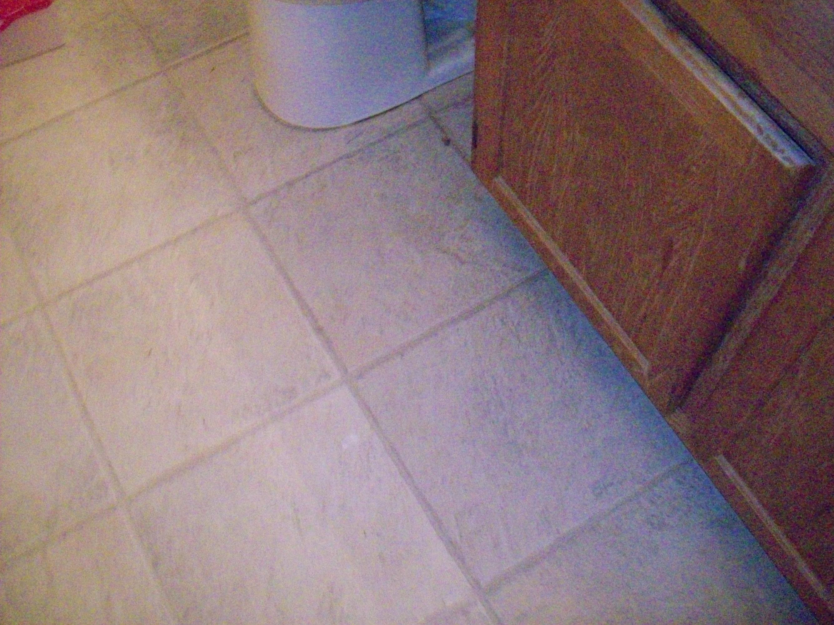 3102 Pineview Road Maryville, TN 37803 - Photo 16 of 17 Nice vinyl in bath
