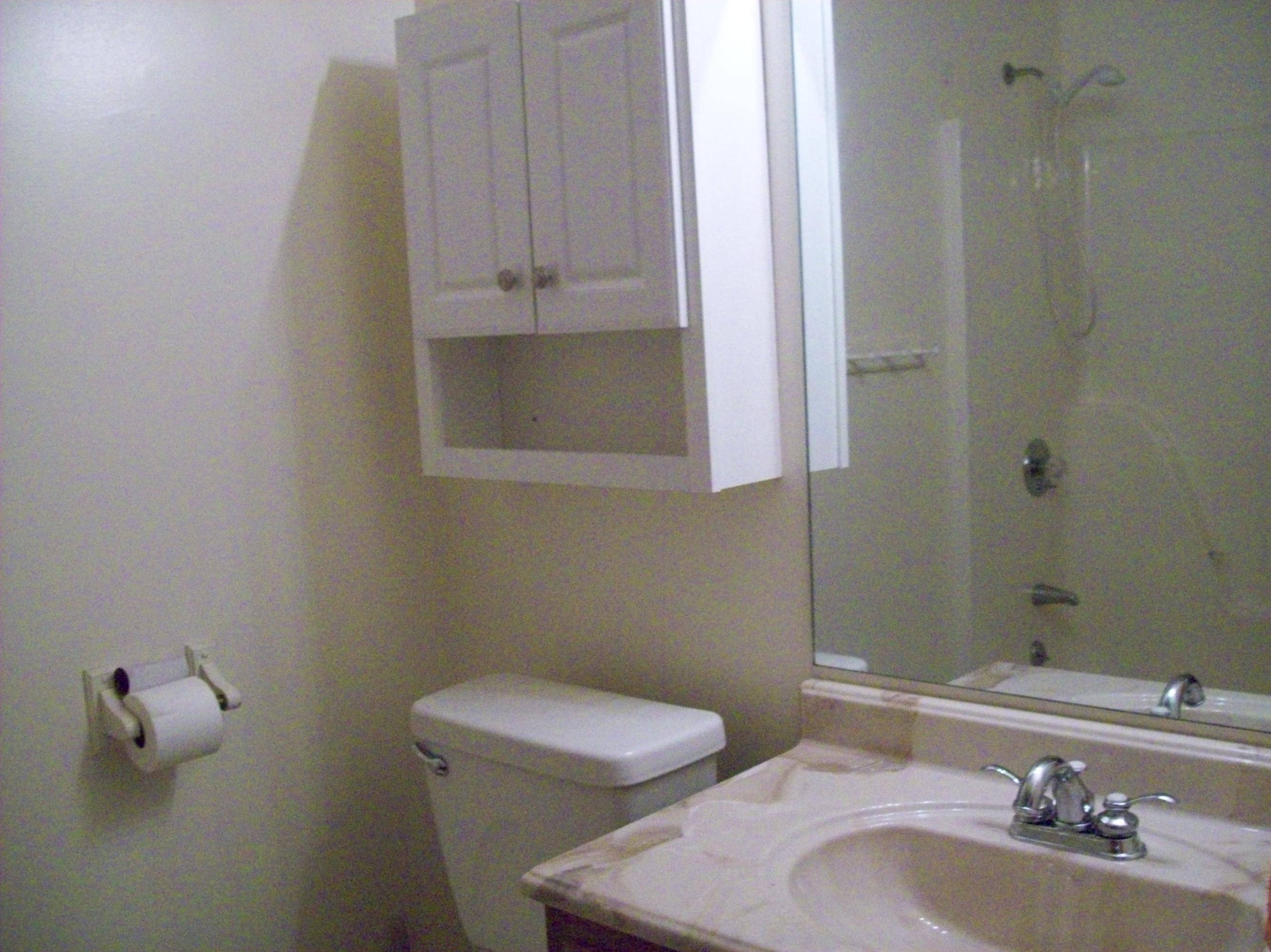3102 Pineview Road Maryville, TN 37803 - Photo 17 of 17 Hall bath