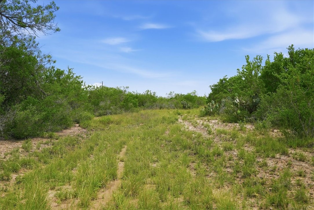 140 Choke Canyon Estates Drive Three Rivers, TX 78071 - Photo 4 of 17