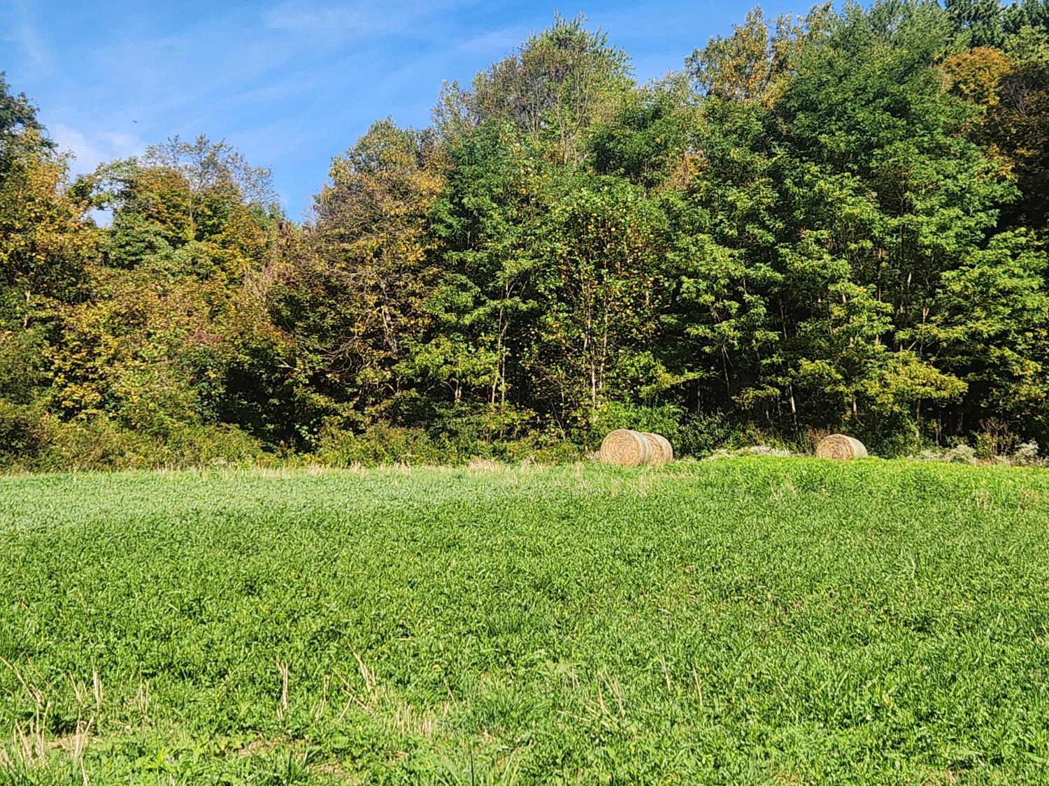 0 Burns Road Sunman, IN 47041 - Photo 7 of 7