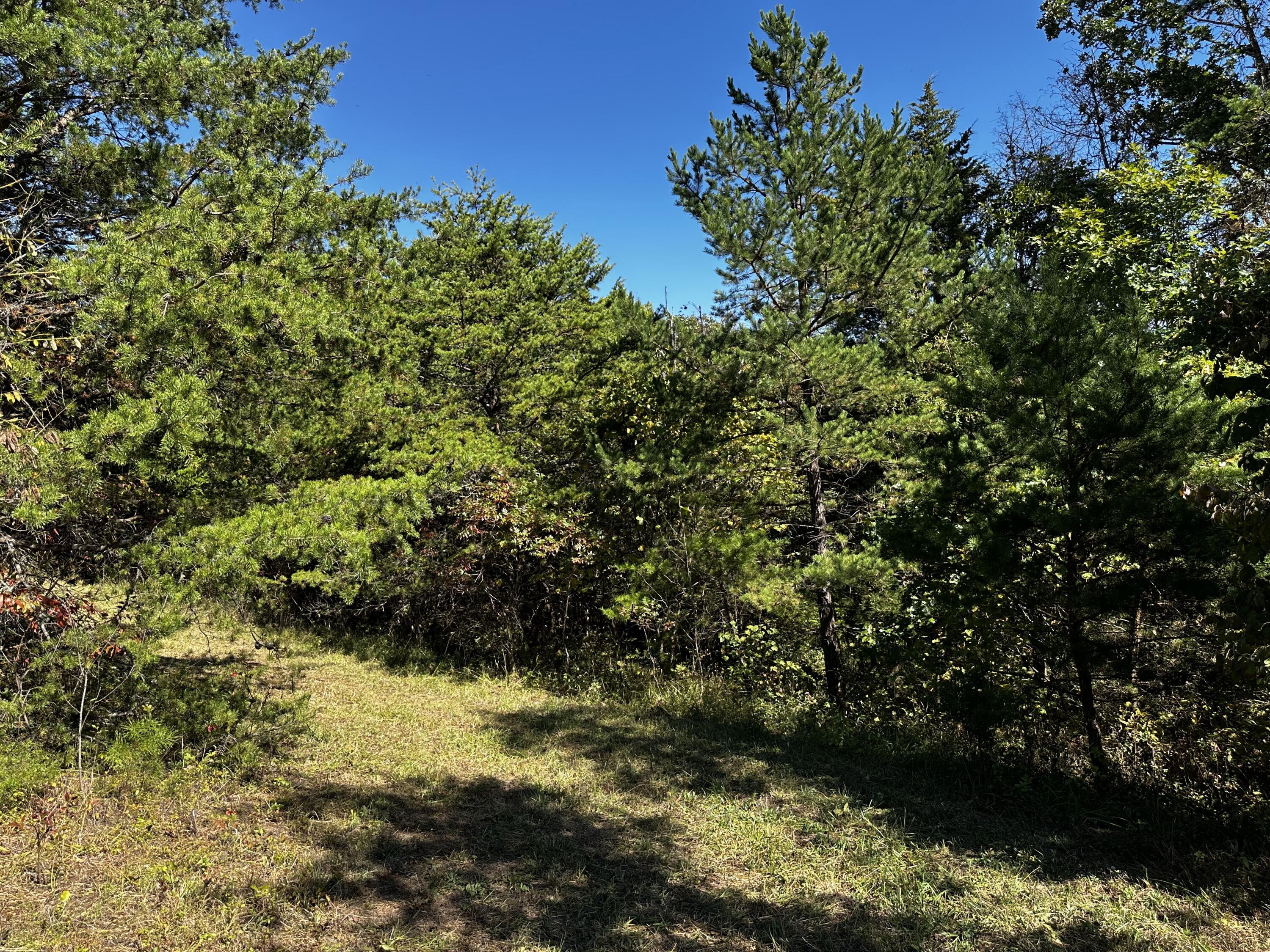 865 Hull Road, Unit TRACT 13 WOODS WAYNE FOREST) Patriot, OH 45658 - Photo 38 of 57 20241008_175510893_iOS