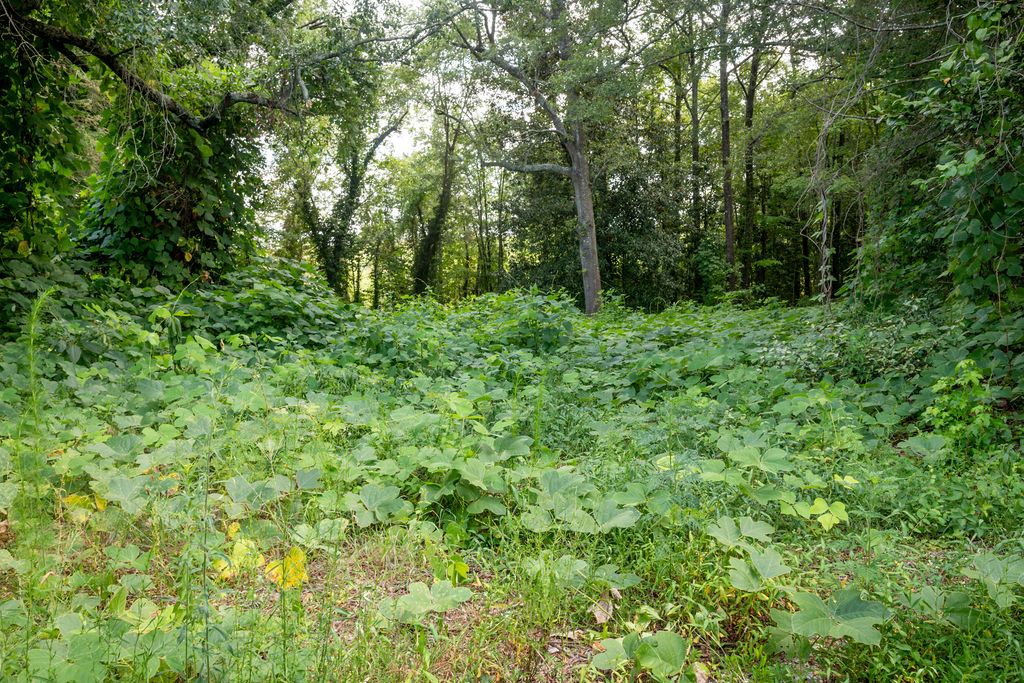 585 Mountain Road Westminster, SC 29693 - Photo 13 of 20