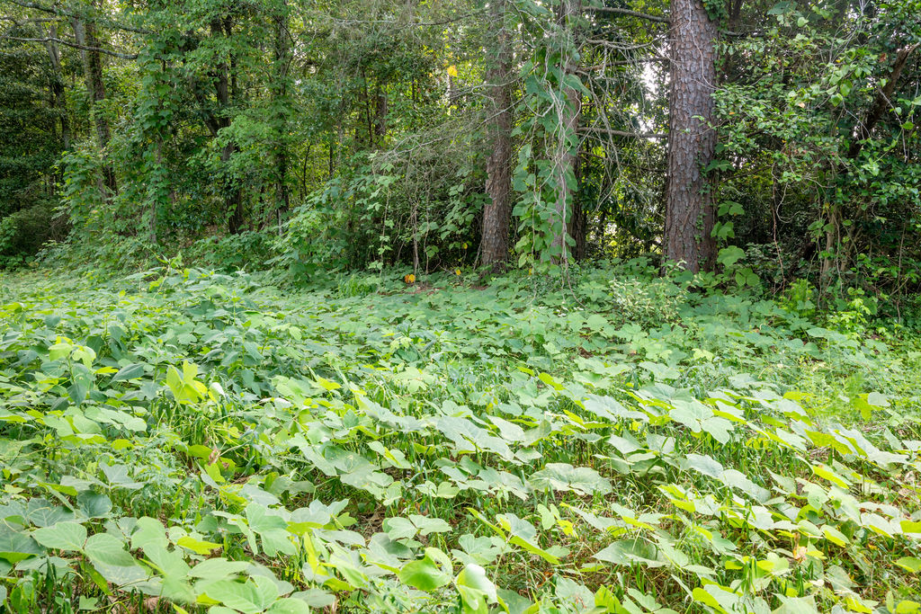 585 Mountain Road Westminster, SC 29693 - Photo 14 of 20