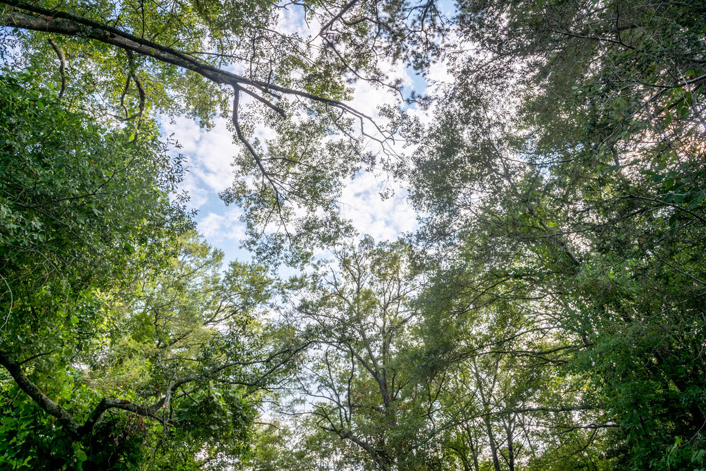 585 Mountain Road Westminster, SC 29693 - Photo 18 of 20