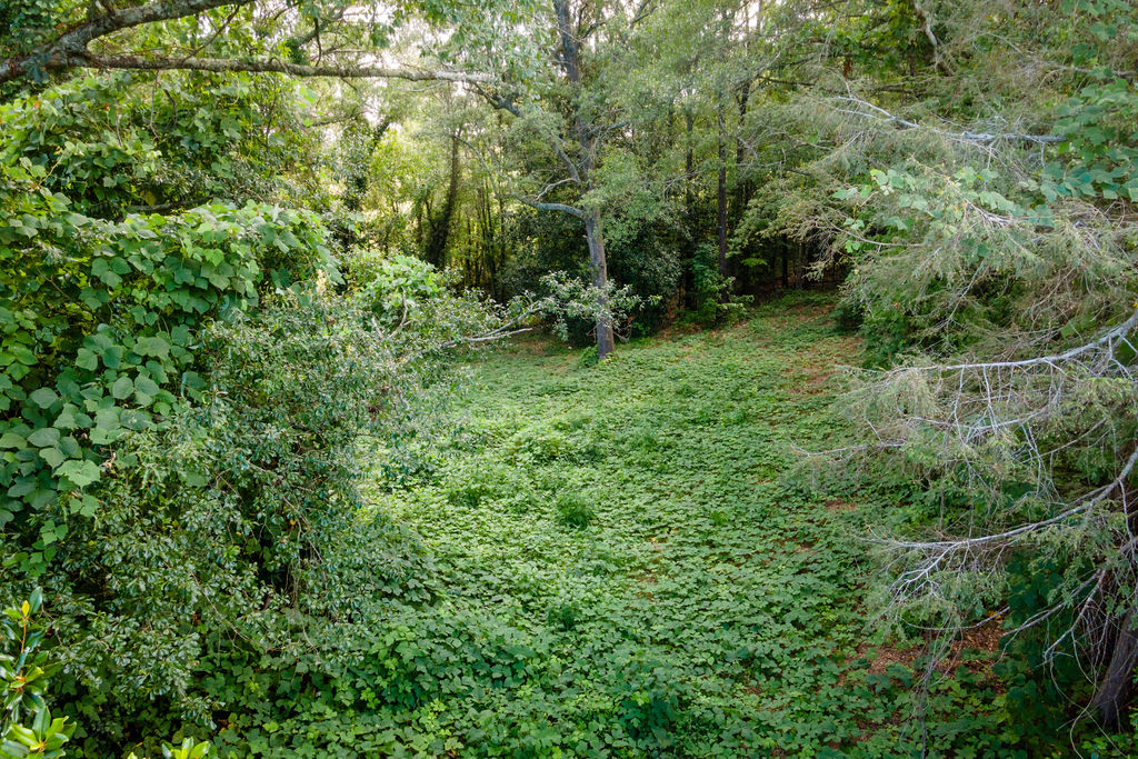 585 Mountain Road Westminster, SC 29693 - Photo 2 of 20