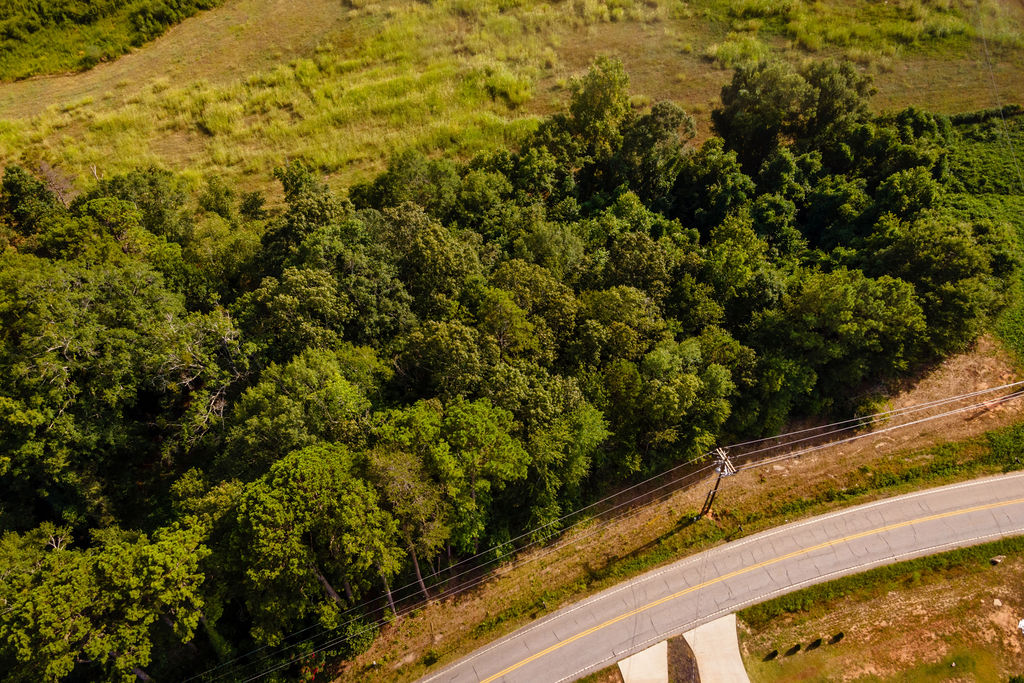 585 Mountain Road Westminster, SC 29693 - Photo 8 of 20