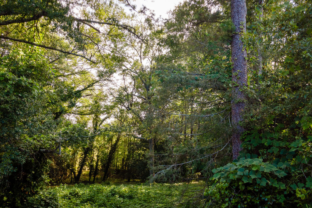 585 Mountain Road Westminster, SC 29693 - Photo 9 of 20