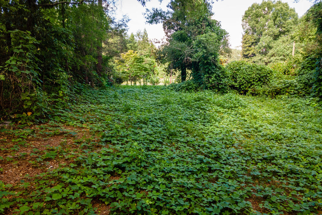 585 Mountain Road Westminster, SC 29693 - Photo 10 of 20