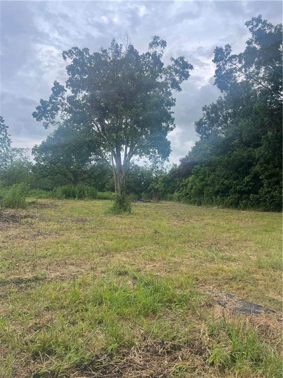 0 North Backstep Road Plaucheville, LA 71362 - Photo 6 of 8 Gallery Image 6