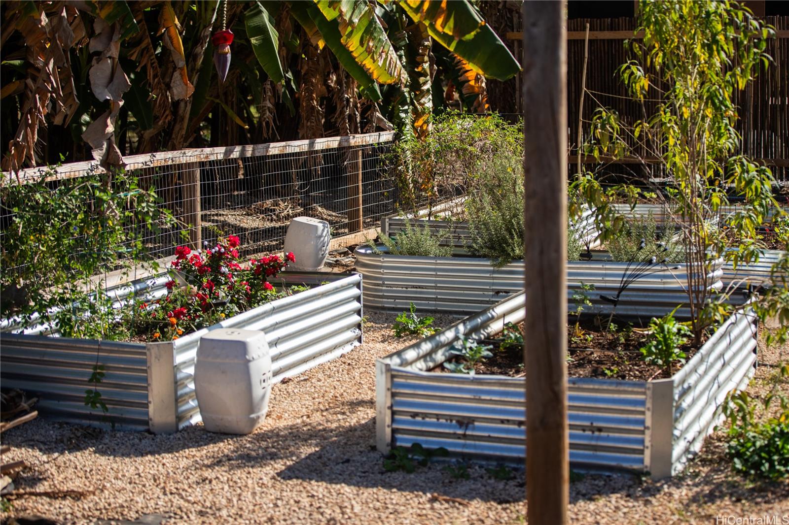 4 Kaukonahua Road Waialua, HI 96791 - Photo 20 of 25 a view of a bench in patio