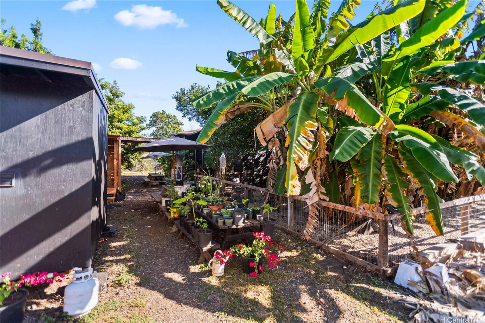 4 Kaukonahua Road Waialua, HI 96791 - Photo 22 of 25 a view of a back yard of the house