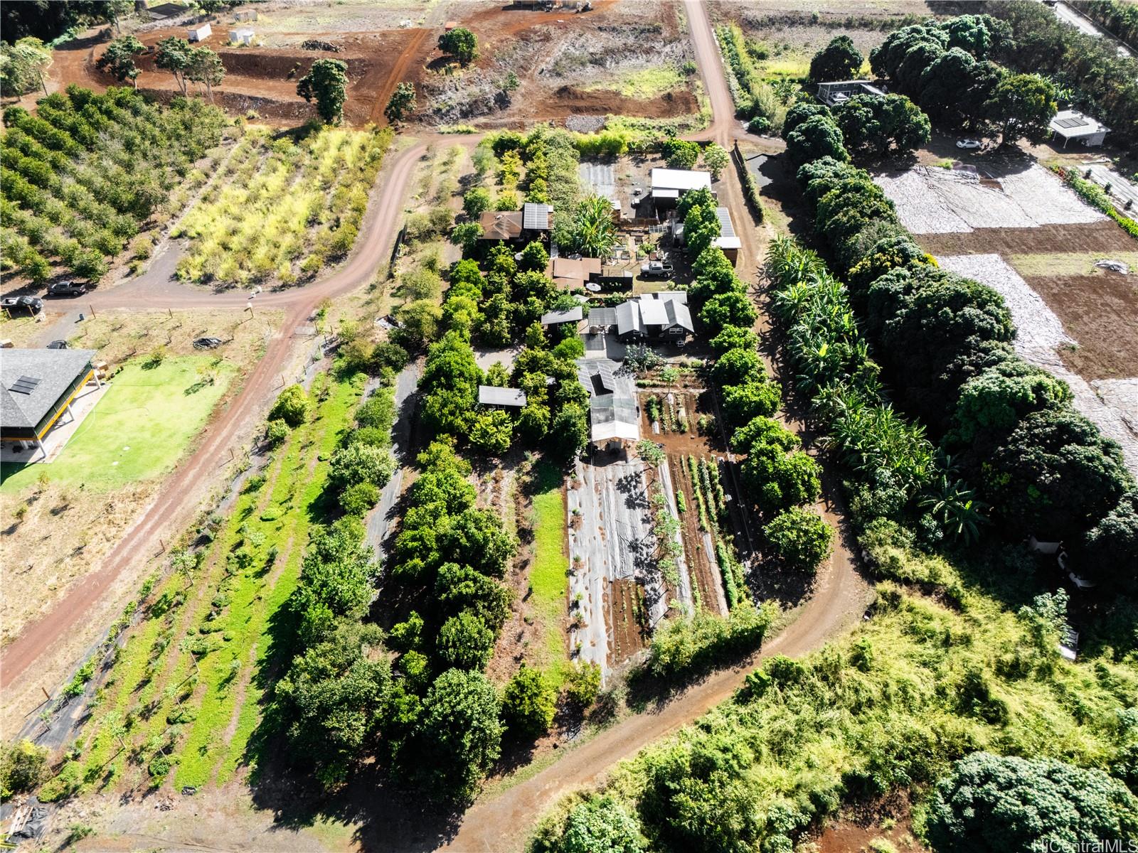 4 Kaukonahua Road Waialua, HI 96791 - Photo 25 of 25 a picture of flowers