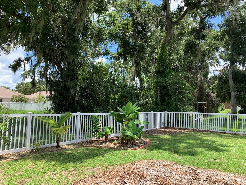 10308 Holland Road Riverview, FL 33578 - Photo 52 of 66