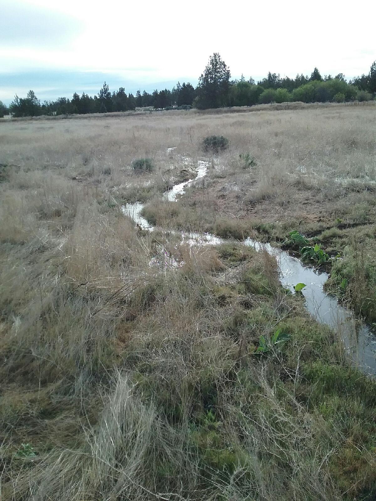 64975 Deschutes Pleasant Ridge Road Bend, OR 97701 - Photo 11 of 16 Gallery Image 11