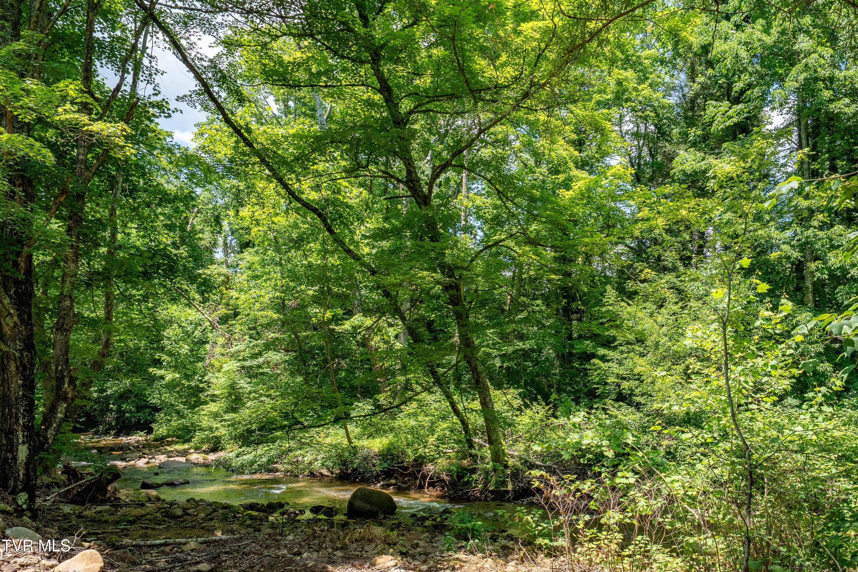 135 Grindstaff Hollow Road Elizabethton, TN 37643 - Photo 55 of 116 135 Grindstaff Hollow (45 of 83)
