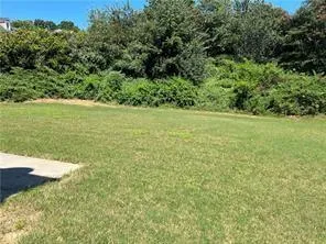 a view of an ocean from a yard