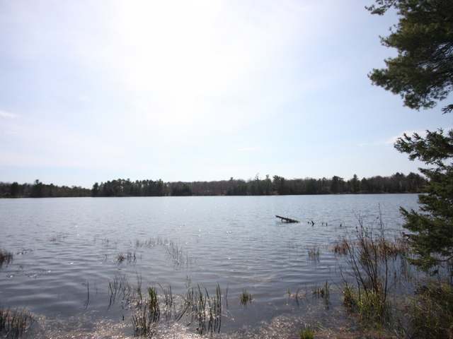 Lot 1 Meadow Lane Rhinelander, WI 54501 - Photo 3 of 5 Gallery Image 3