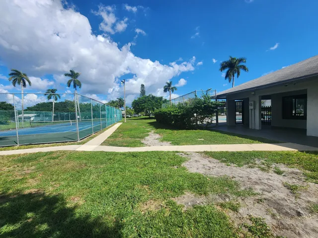a view of a field with a tree in the background