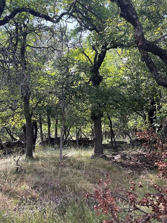 927 Cutter Circle May, TX 76857 - Photo 13 of 23 Wooded natural landscape featuring mature trees with verdant foliage and dry grass undergrowth