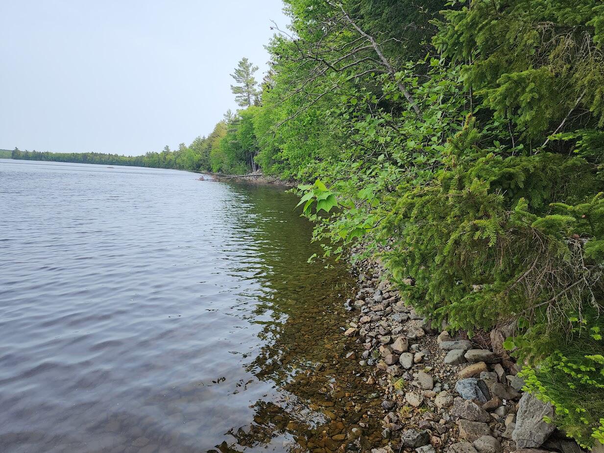 T2 R4 West Wytopitlock Lake Road Wytopitlock, ME 04497 - Photo 8 of 9 20250604_155159