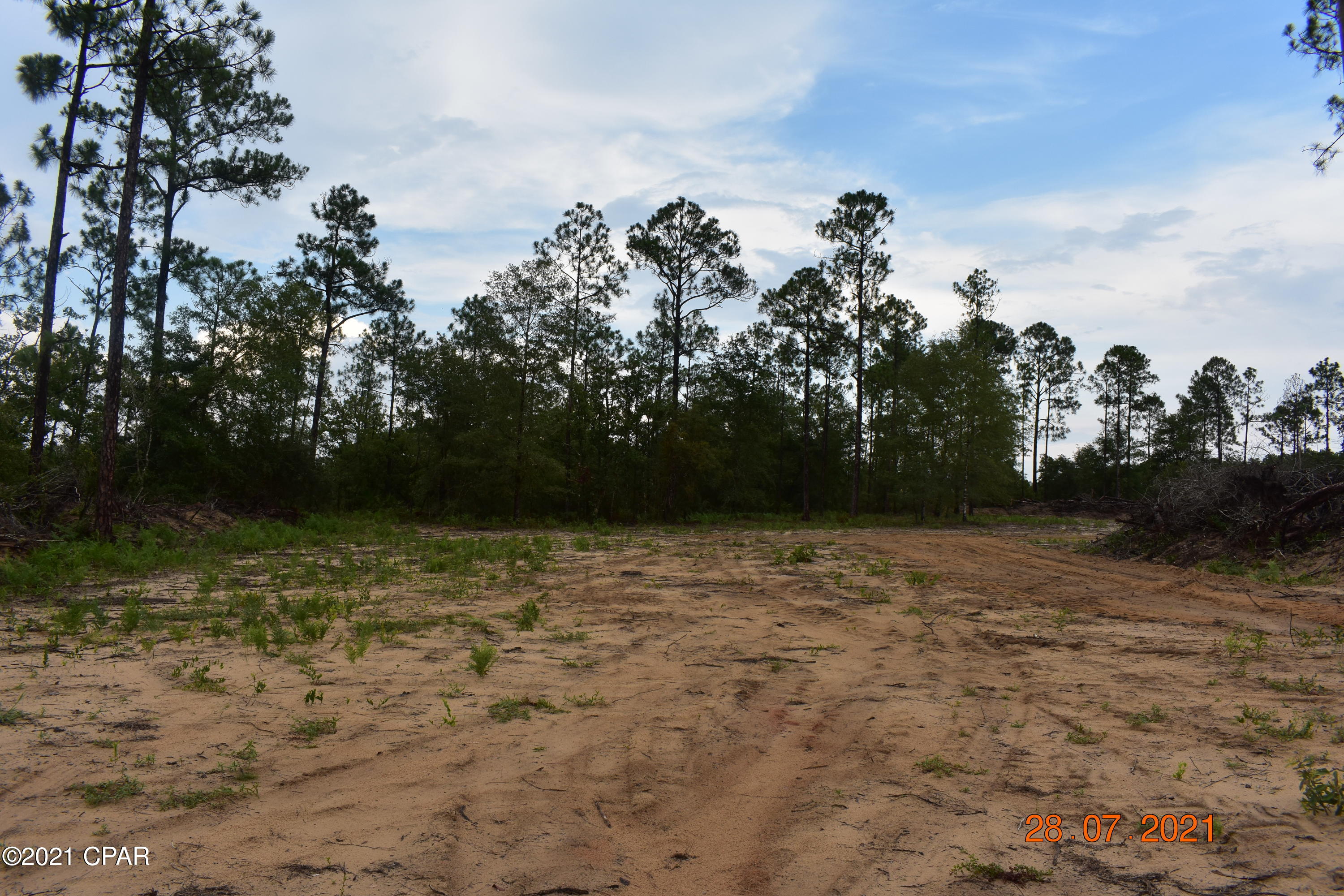 3417 Diddly Road Chipley, FL 32428 - Photo 15 of 19 Gallery Image 15